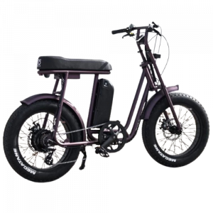 50 Rebels - V Series 250W E-Bike